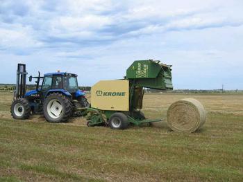 Hay - Contractors Listing